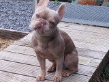 Chopper, le père