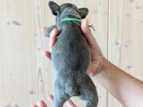 Chiots de type Bouledogue Français à vendre (4 femelles & 3 mâles)