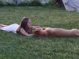 Chien adulte de type Pitbull mâle à donner