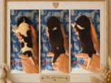 Chiots Beagle à vendre