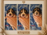 Chiots Beagle à vendre