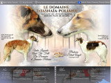 Parents des chiots