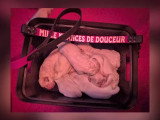 Portée de 8 chiots Golden Retriever LOF nés en mai 2026 à vendre