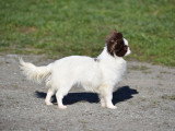 Www.myfairchi.com