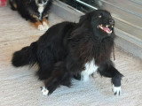 LUNNA qui sourit de toutes ses dents !