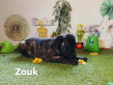 ZOUK