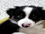 Botie my Botie, princess that I am!
