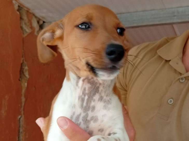 Lumi
