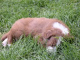 l'heure de la sieste