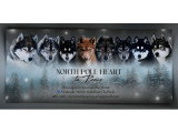 Chiots Husky Sibérien LOF à vendre