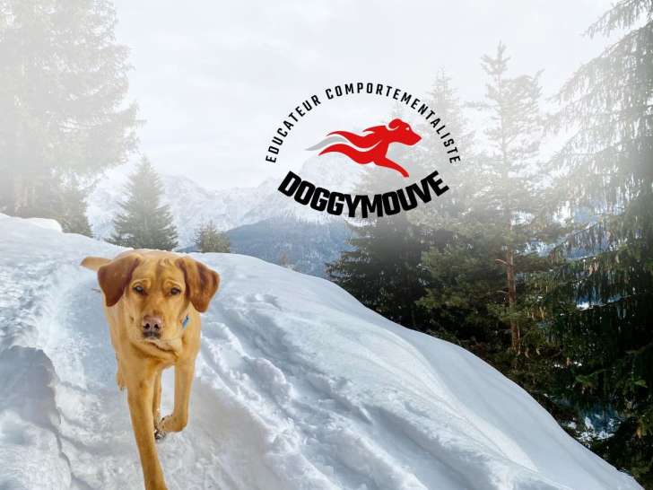 Doggymouve