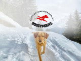 Doggymouve