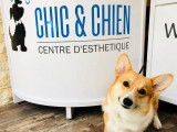 Chic & Chien