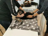 NewDog