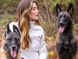 Maitres&Chiens