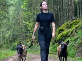 Maitres&Chiens