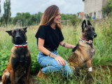 Maitres&Chiens