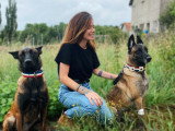 Maitres&Chiens