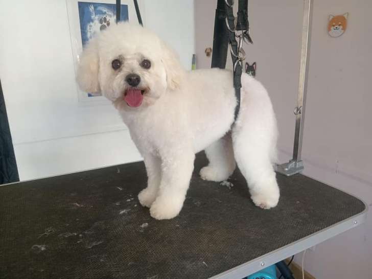 Les Chouchous de Sevy