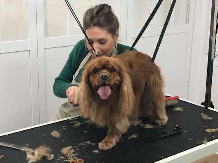 Flair and co