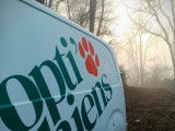 Optichiens