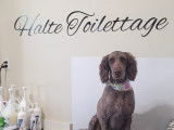 Halte toilettage