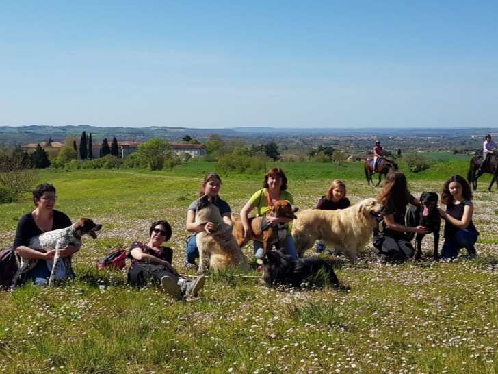 Mon Centre Canin de Lavaur