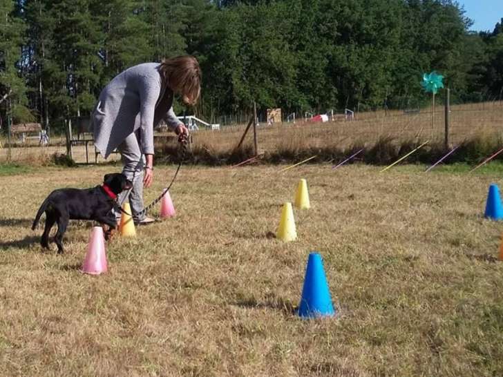 Mon Centre Canin de Lavaur