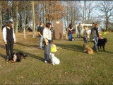 Club d'Éducation Canine de Lavault-Sainte-Anne-Montluçon