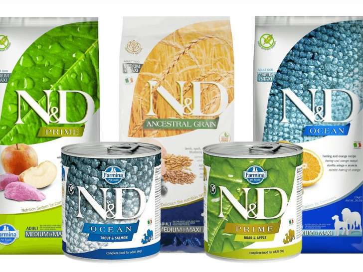 ADN Plus