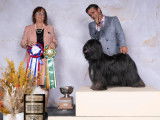 Tibetan Terrier Club of Canada (TTCC)