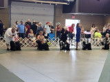 Tibetan Terrier Club of Canada (TTCC)