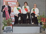 Portuguese Water Dog Club of Canada