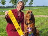 Canadian Bloodhound Club (CBC)