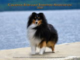 Canadian Shetland Sheepdog Association