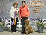 Dogue de Bordeaux Club of Canada (DDBCC)