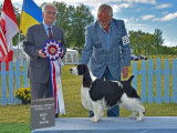 English Springer Spaniel Club of Canada (ESSCC)
