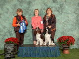 English Springer Spaniel Club of Canada (ESSCC)