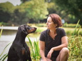 Un chien au poil