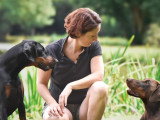 Un chien au poil