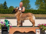 Leonberger Club of Canada