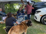 Leonberger Club of Canada