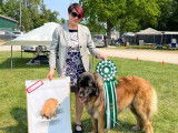 Leonberger Club of Canada