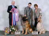 Leonberger Club of Canada