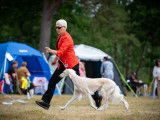 Saluki Club of Canada