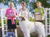 Great Pyrenees Club of Canada (GPCC)