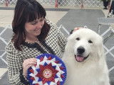 Great Pyrenees Club of Canada (GPCC)