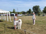 Great Pyrenees Club of Canada (GPCC)