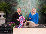 National Pekingese Club of Canada