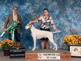 Pointer Club of Canada